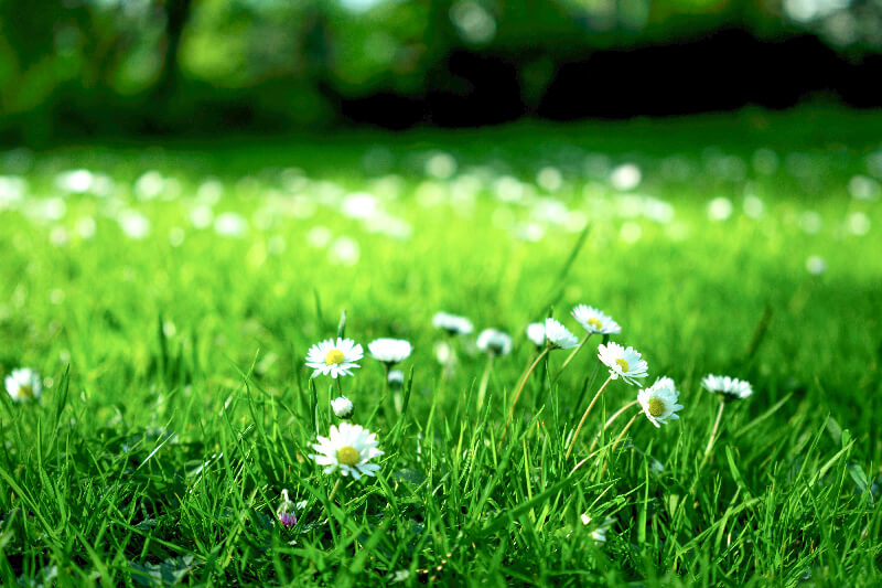 foto ambiente